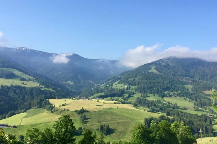 Grüne Wiesen und Almen in Leogang Kitzbüheler Alpen Österreich