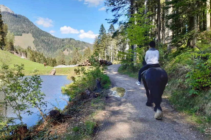 reiten pferd pferdurlaub reiterurlaub leogang berge ausreiten see