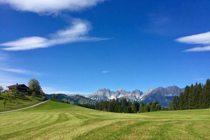 Grüne Wiese mit dem Wilden Kaiser Gebirge im HIntergrund