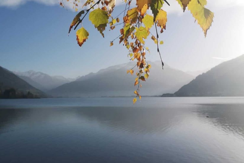 Zeller See mit Herbstblättern im Vordergrund