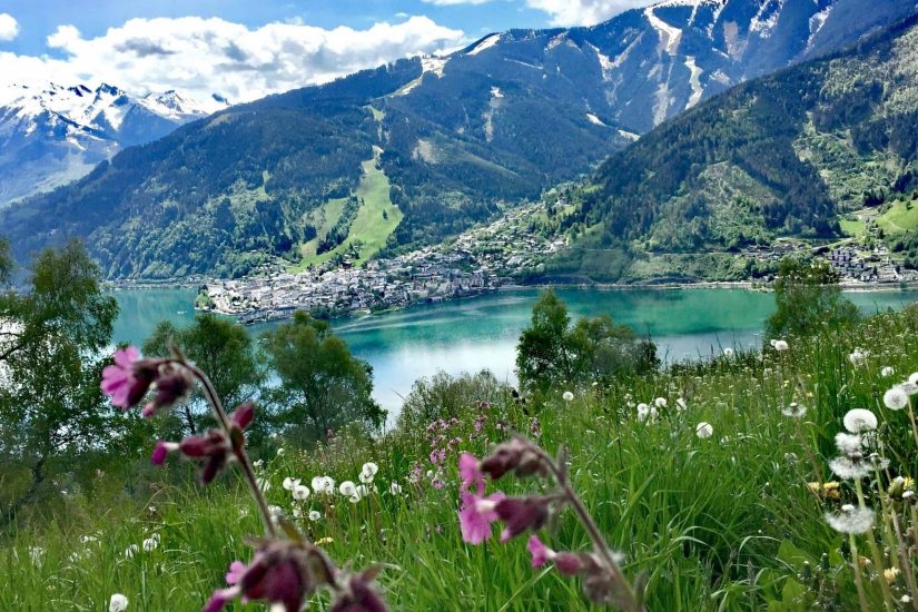 Der Ort Zell am Zeller See im Salzburger Land von oben mit Blumen