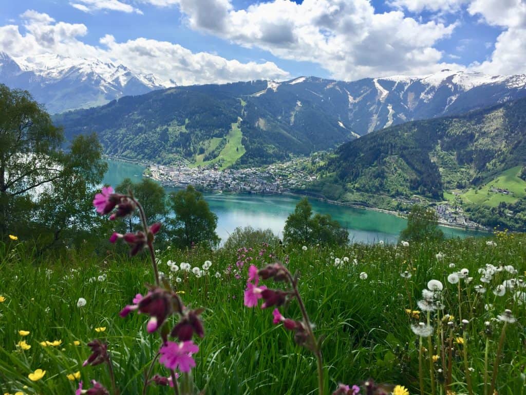 Der Ort Zell am Zeller See im Salzburger Land von oben mit Blumen