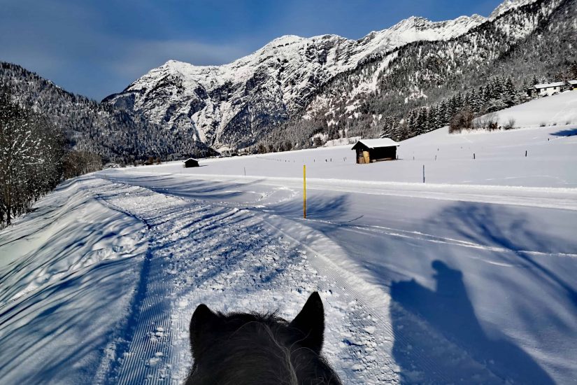pferd schene winter reiten